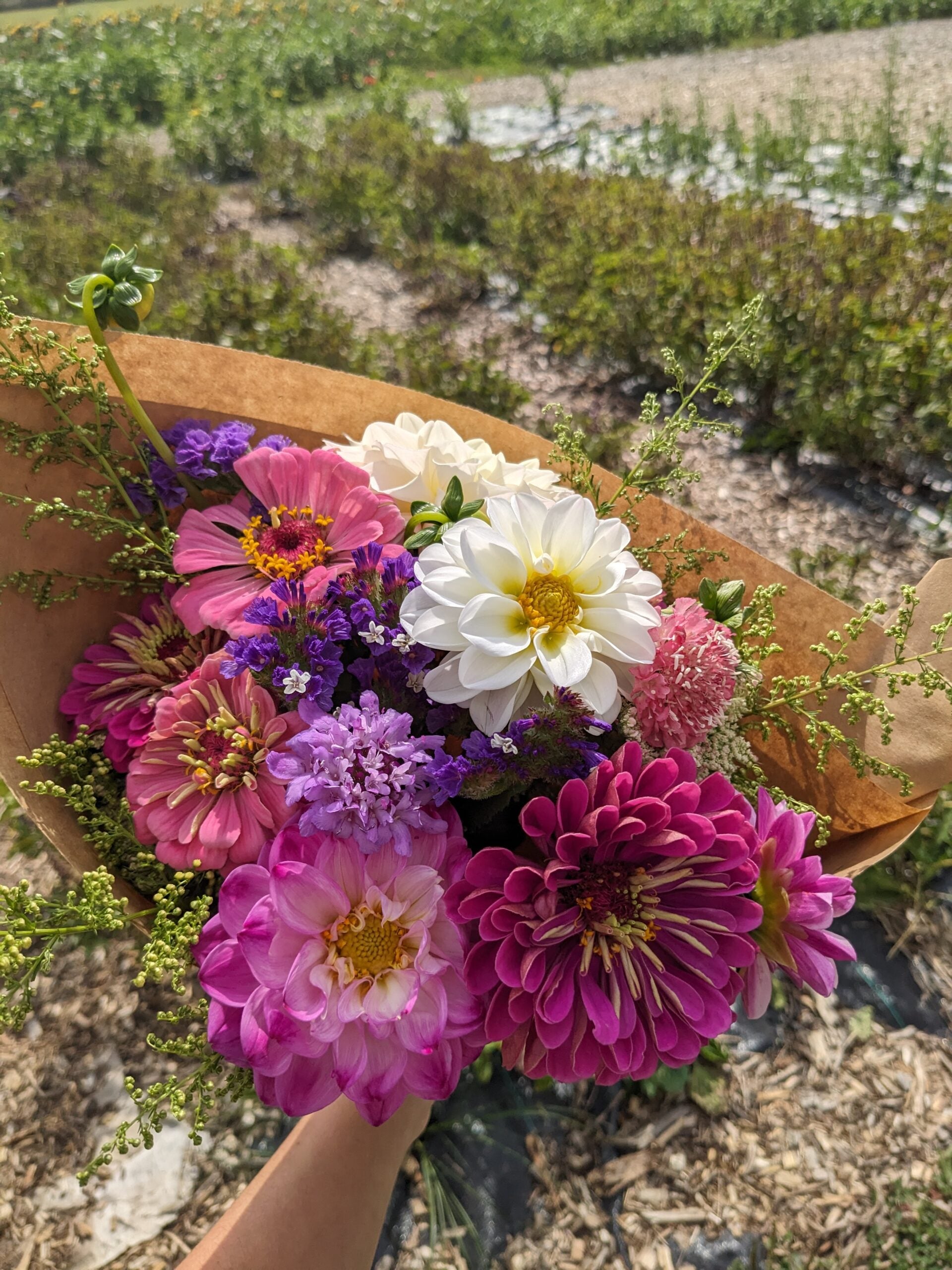 Bouquet Subscription - 12 bouquets during the growing season image 6