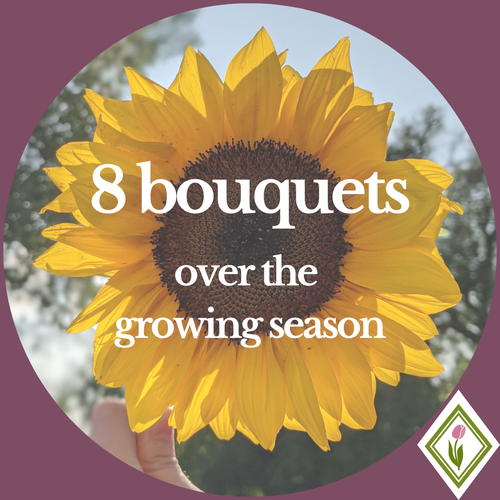 Bouquet Subscription - 8 bouquets during the growing season image 0
