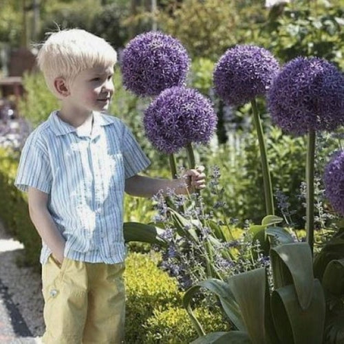 Small child with tall flower