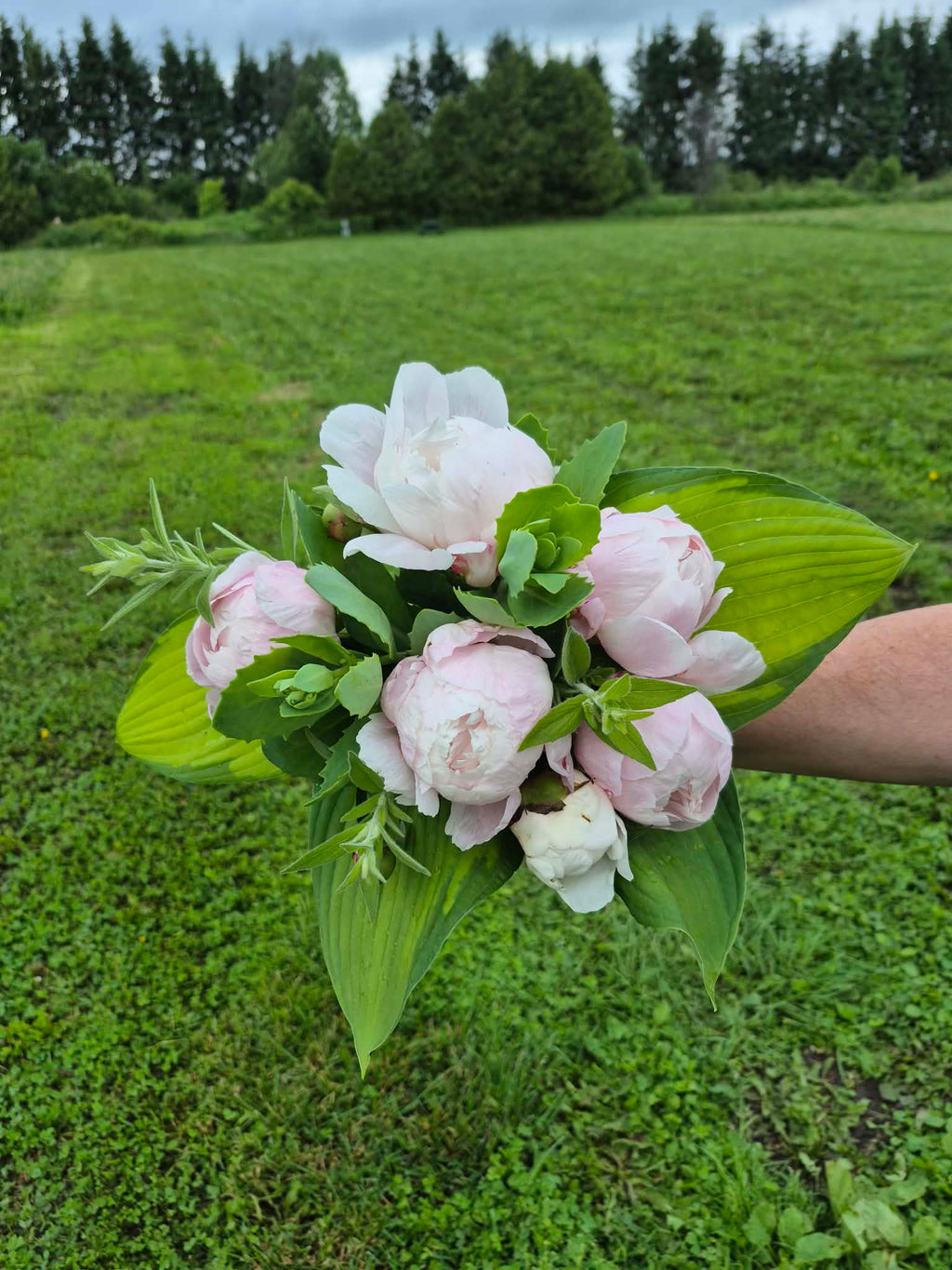 Limited Edition Peony Bouquet