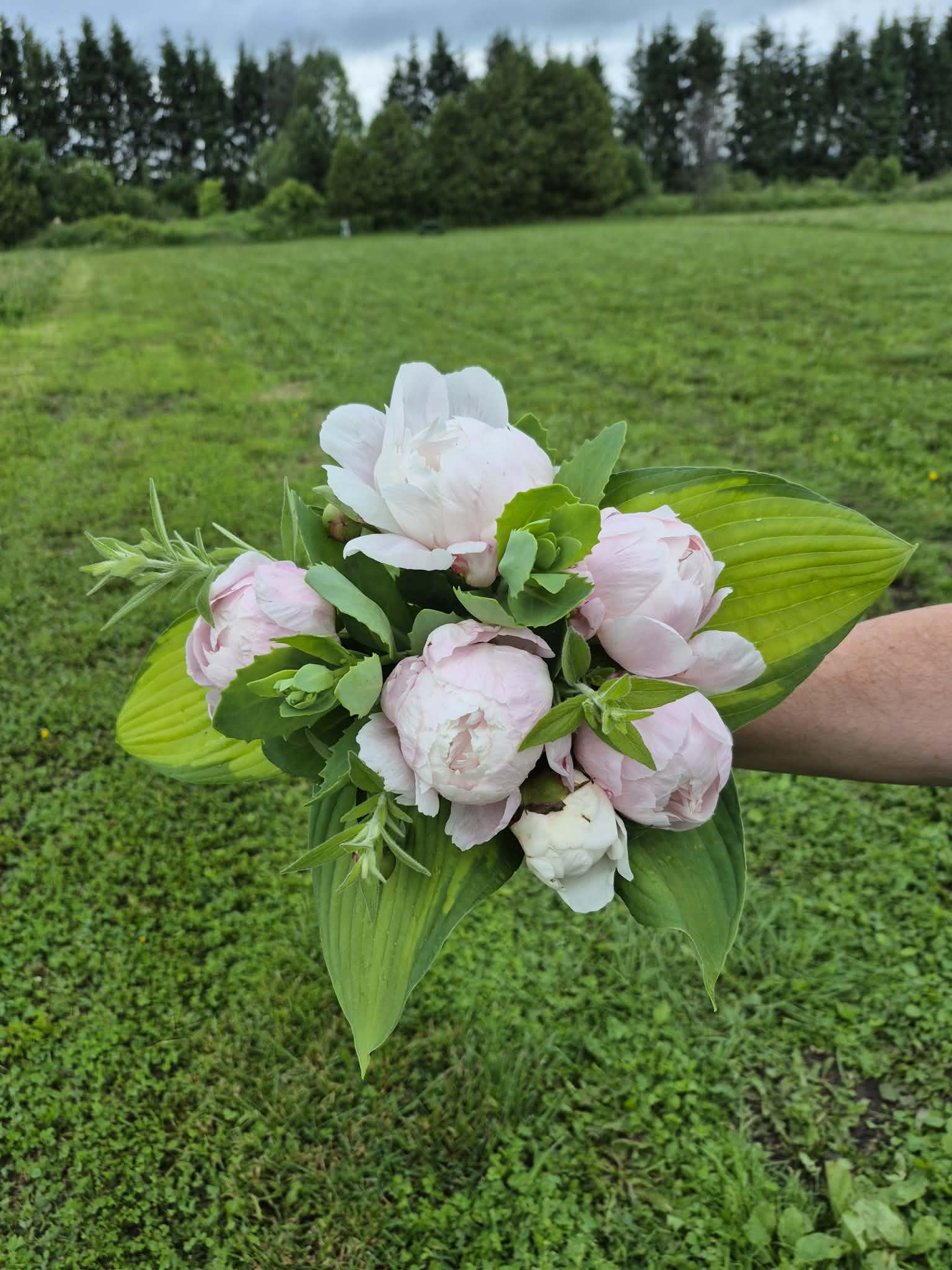 Limited Edition Peony Bouquet