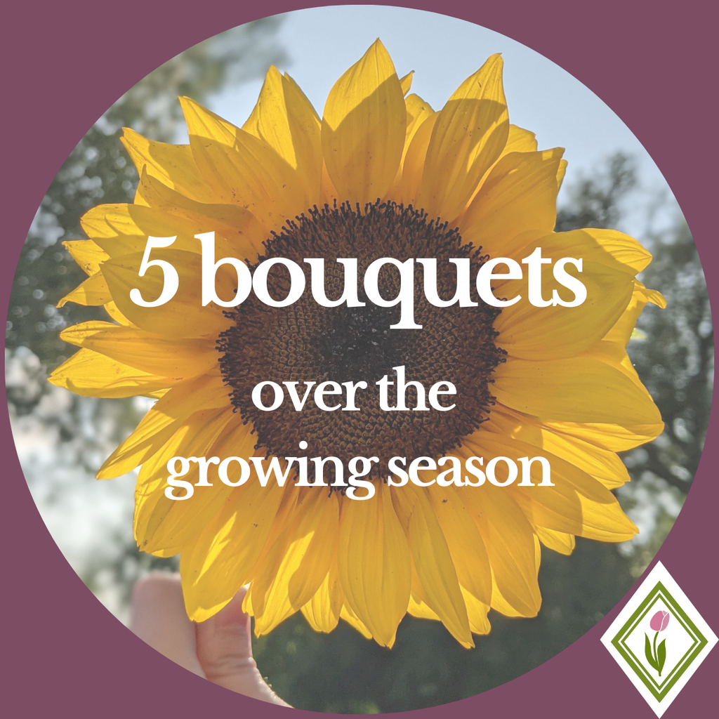 Abonnements de bouquets
