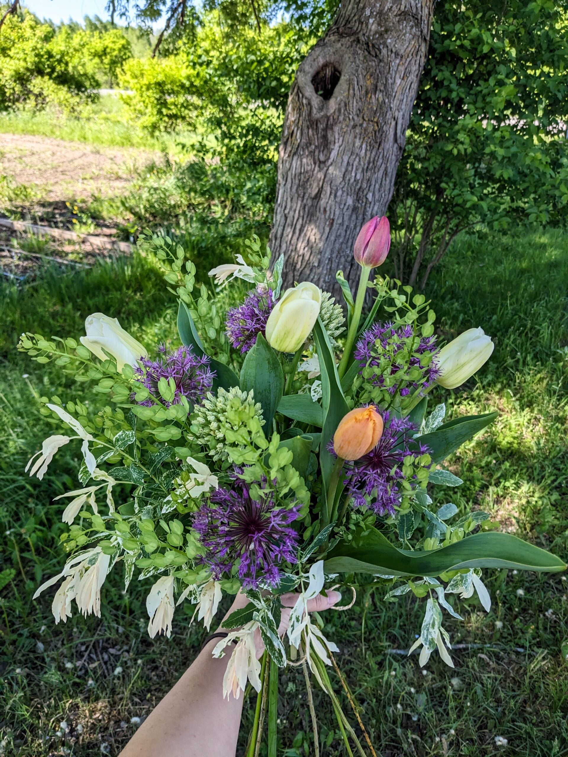 Bouquet Subscription - 12 bouquets during the growing season image 1
