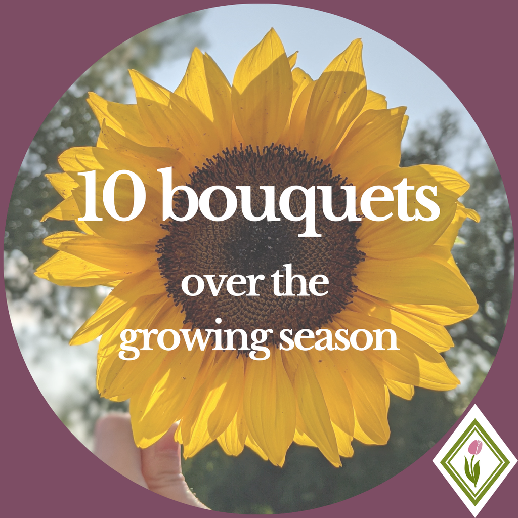 Bouquet Subscription - 10 bouquets during the growing season image 0