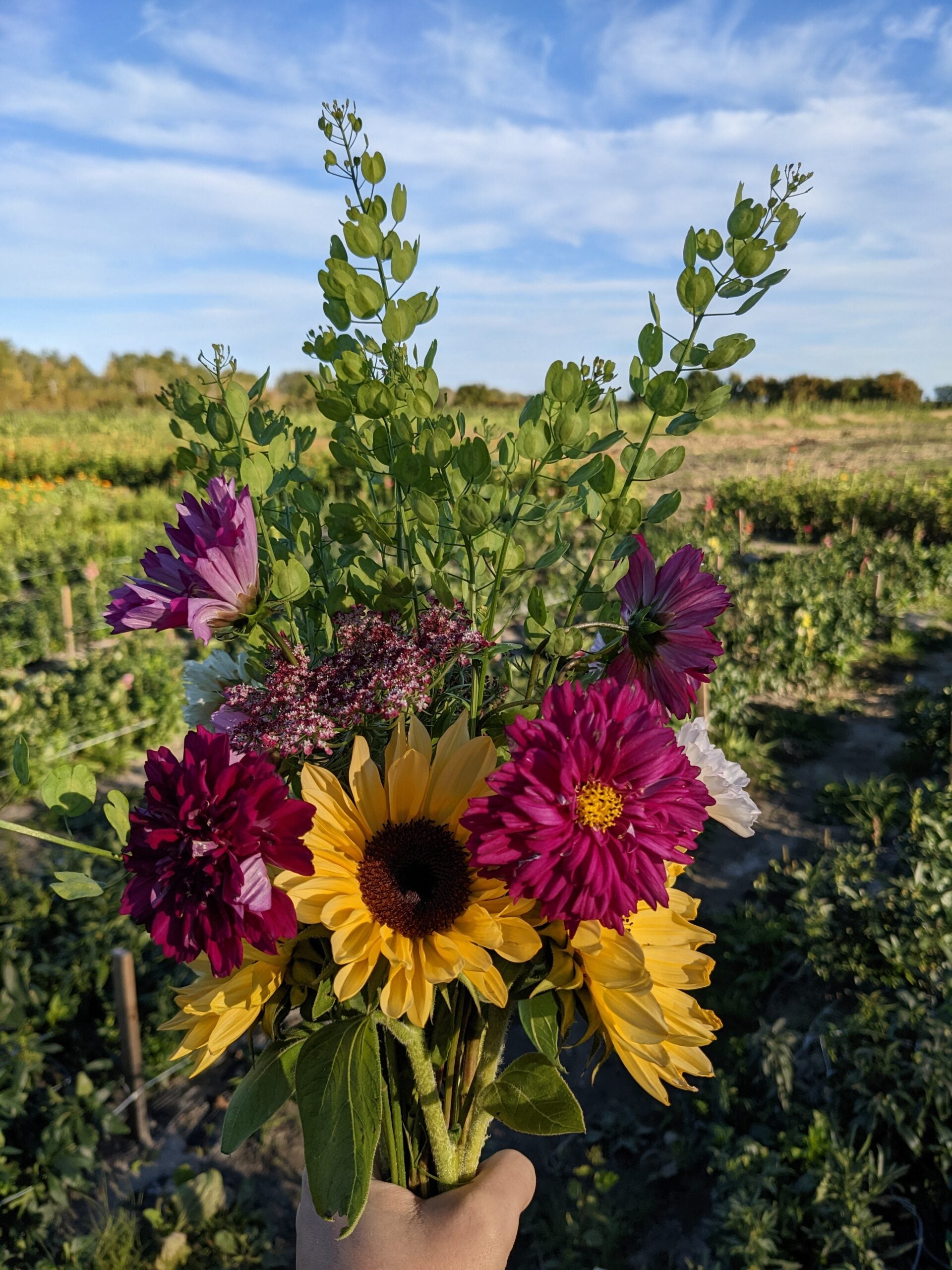 Harvest Host Grab&Go Bouquet of Flowers image 0