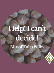 Help! I can't decide! Mix of tulip bulbs